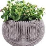 COZY M FELAKASZTHATÓ MŰANYAG KASPÓ