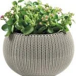 COZY M FELAKASZTHATÓ MŰANYAG KASPÓ